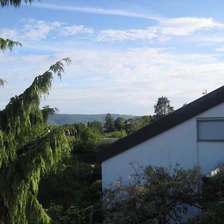 Ferienwohnung Haus am Weinberg Erzingen Exterior foto