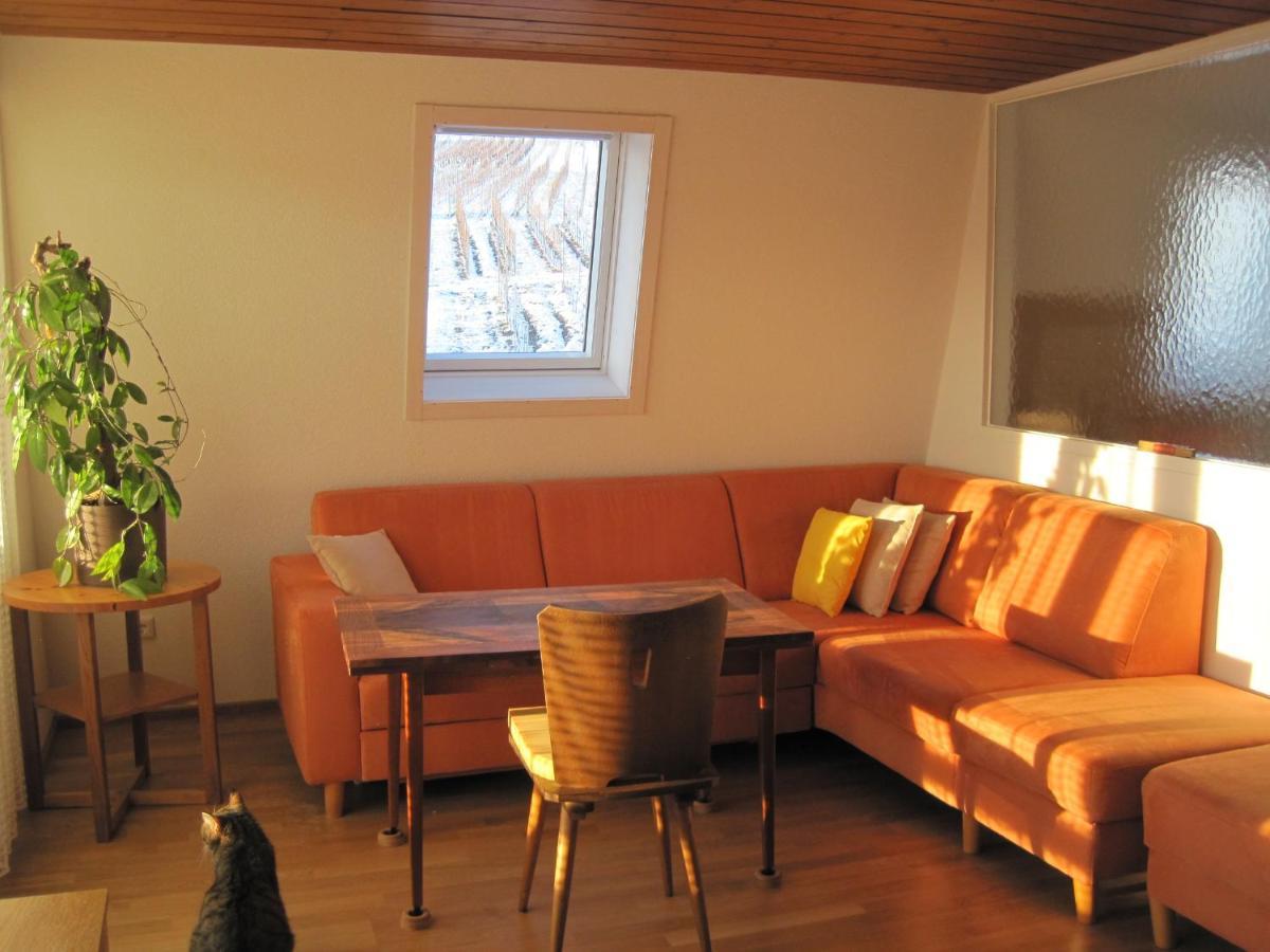 Ferienwohnung Haus am Weinberg Erzingen Exterior foto