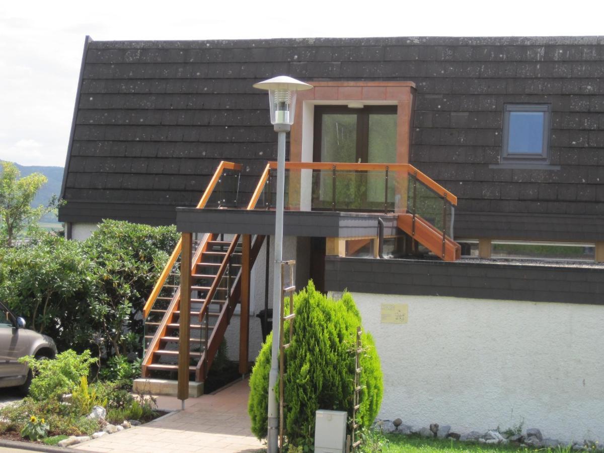 Ferienwohnung Haus am Weinberg Erzingen Exterior foto